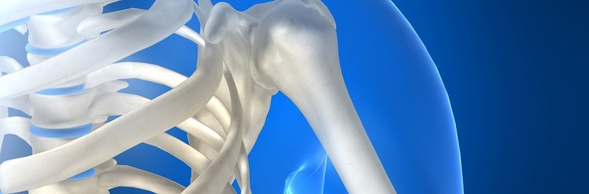 comprendre l'ostéoporose