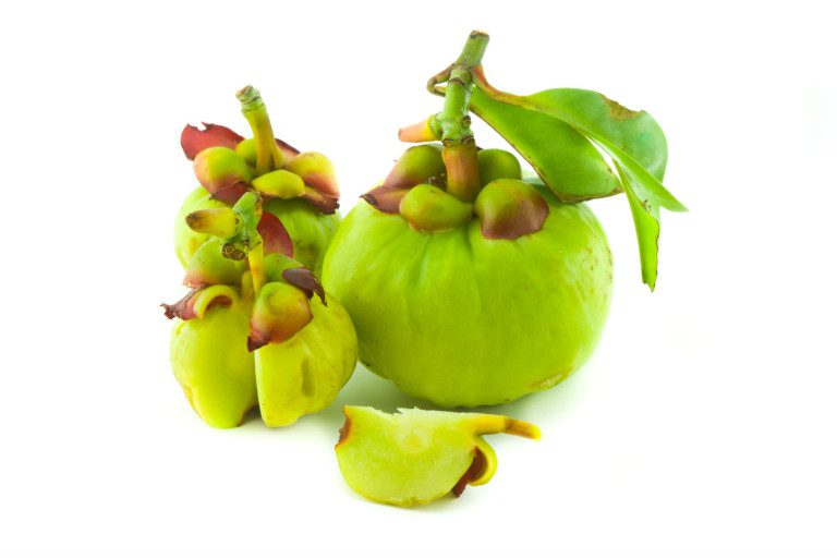 Découverte du Garcinia Cambogia