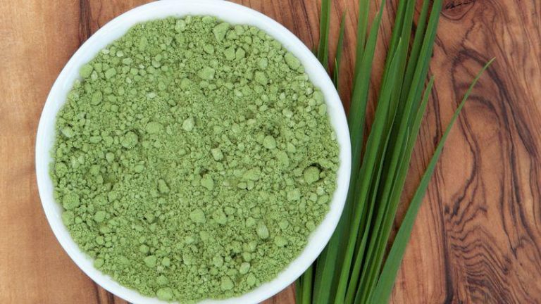 spiruline bienfaits