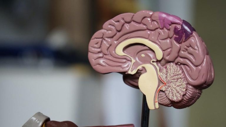 maladie neurologique